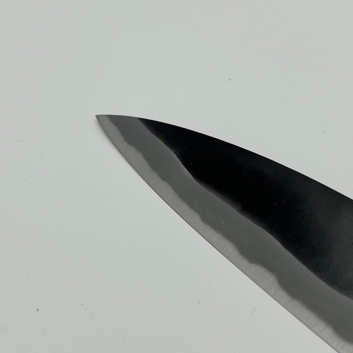 Gyuto Aogami #2 Shiro Kamo 200mm